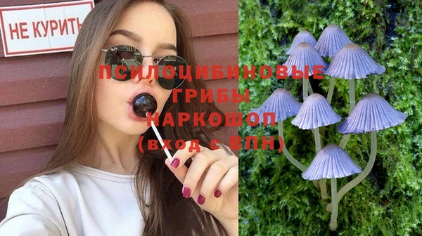 СК Абаза