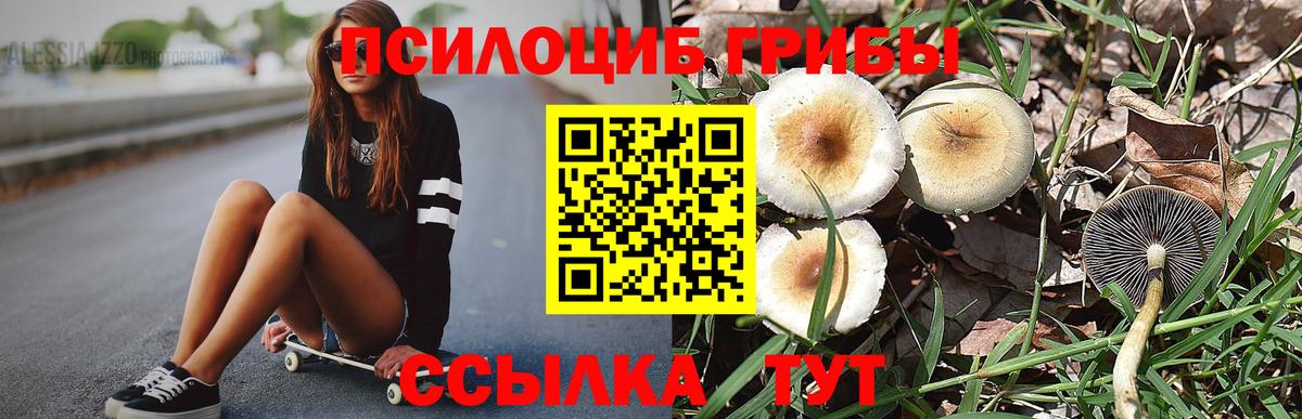 Псилоцибиновые грибы Cubensis Алатырь