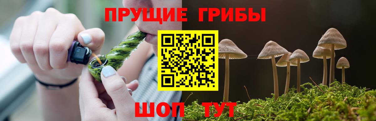 Псилоцибиновые грибы прущие грибы  магазин    Алатырь  Вход с VPN 