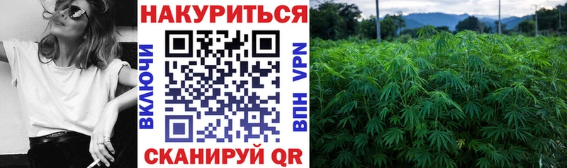 Бошки марихуана конопля  hydra ссылки  Алатырь 