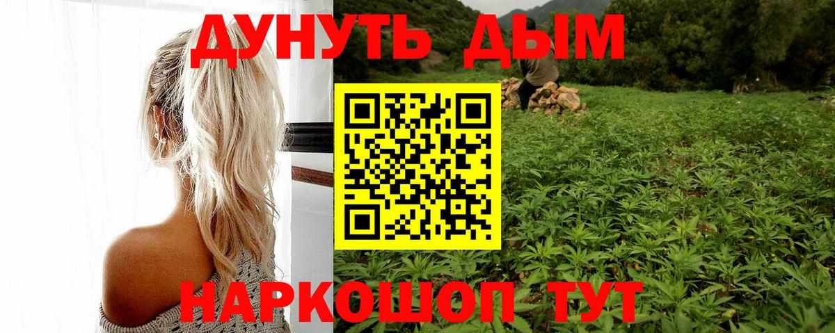 Канабис гибрид Алатырь